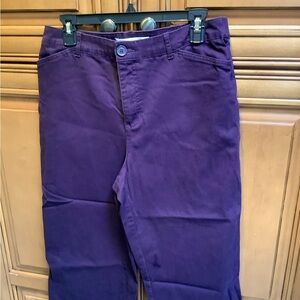 DARK PURPLE BELOW THE KNEE CAPRIS JEANS